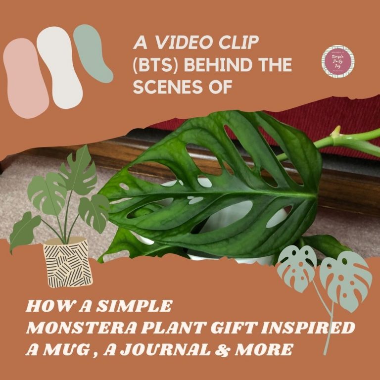 Read more about the article Monstera Inspired Music Video