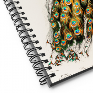 Exotic Series Notebook | Peacock Beauty