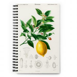 Exotic Series Notebook | Zesty Lemon