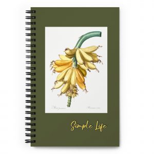 Simple Life Notebook | Bananas
