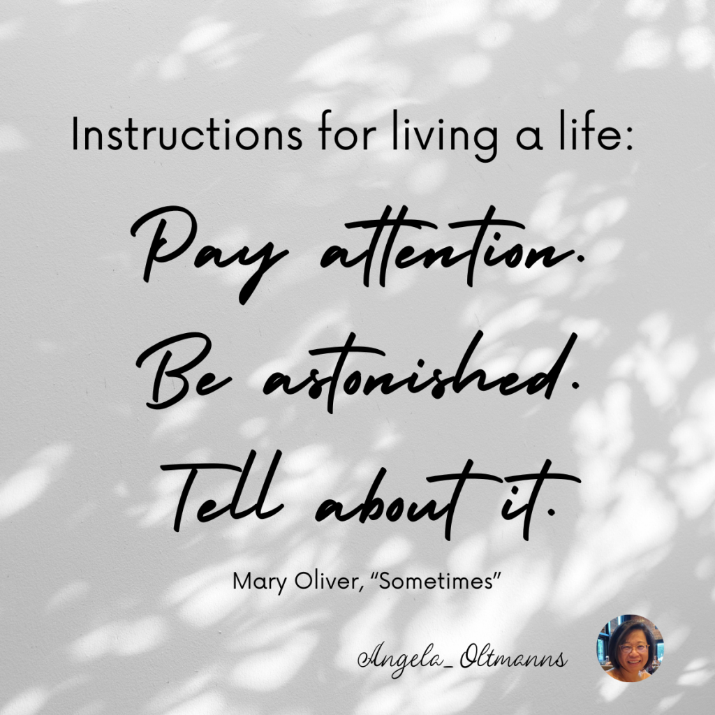 Instructions for living a life - Mary Oliver