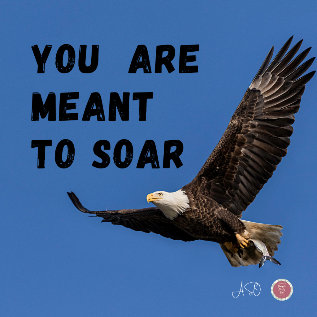 You are meant to soar 2