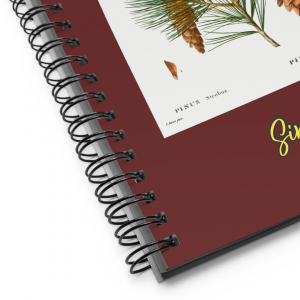 Simple Life Notebook | Pine Cones Inspired