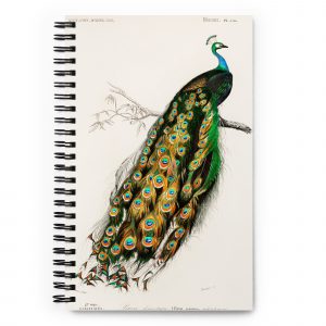 Exotic Series Notebook | Peacock Beauty
